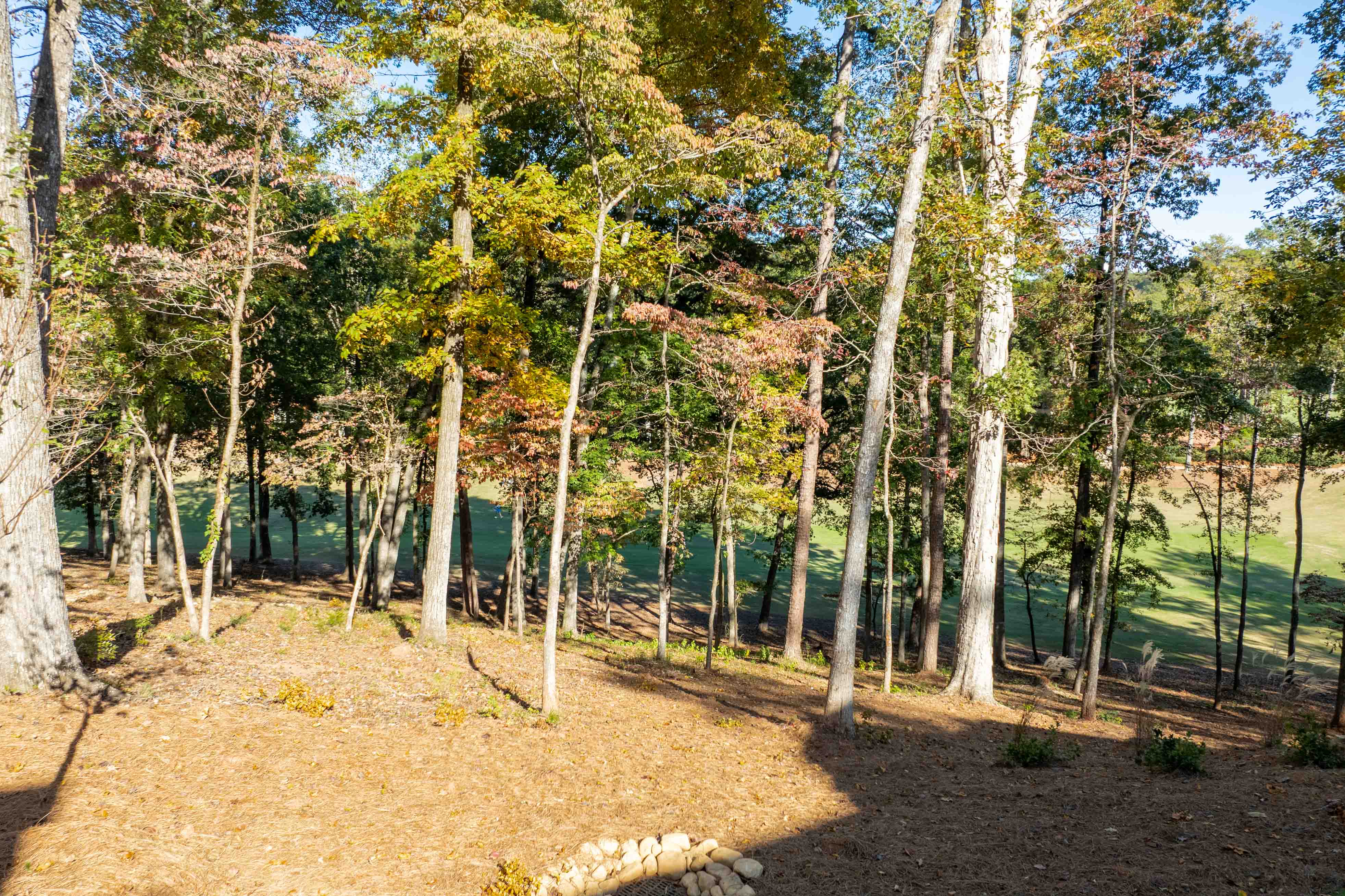 1050 Maple Ridge Way image 2